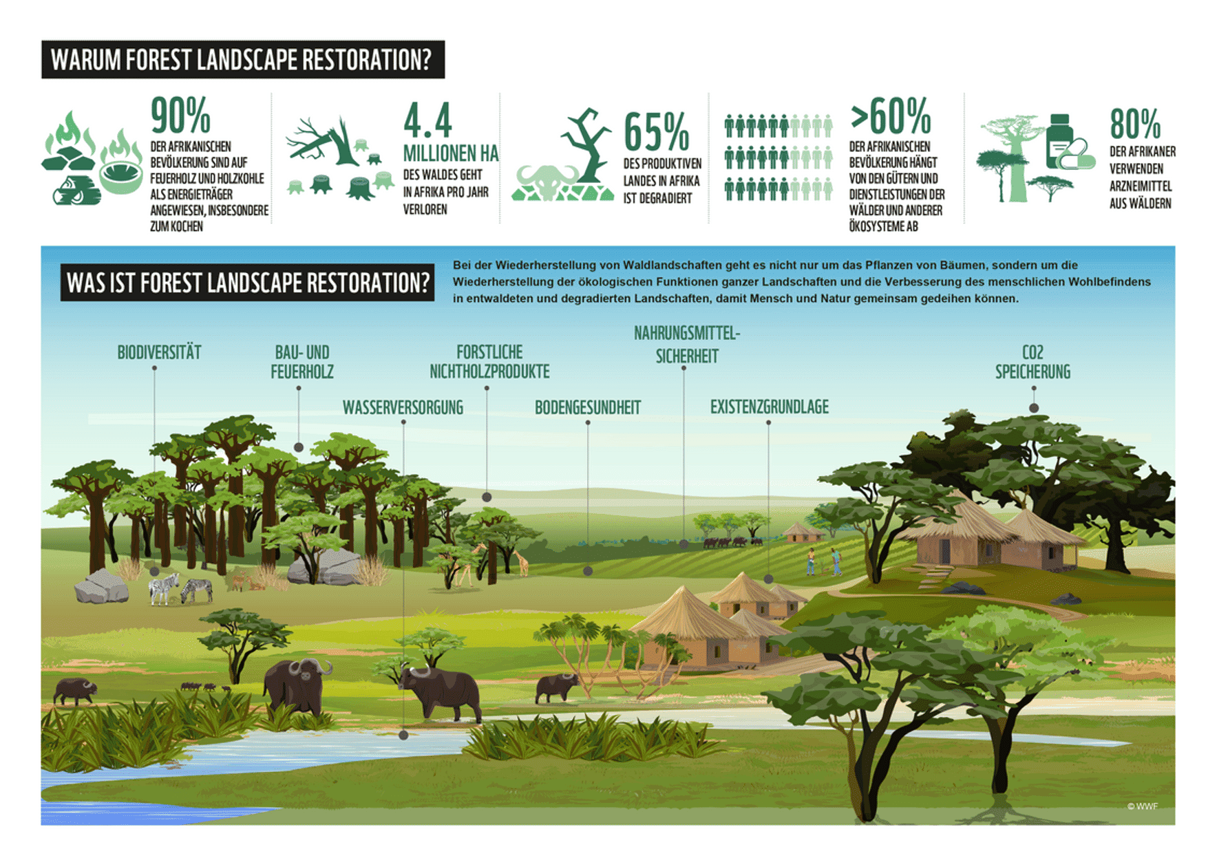 Forest Landscape Restoration.png
