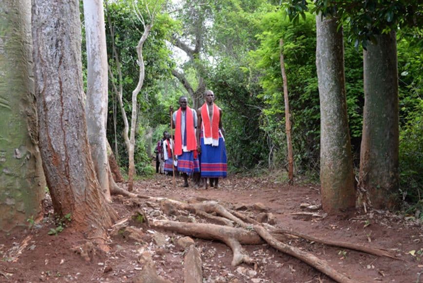 Menschen im Wald.png