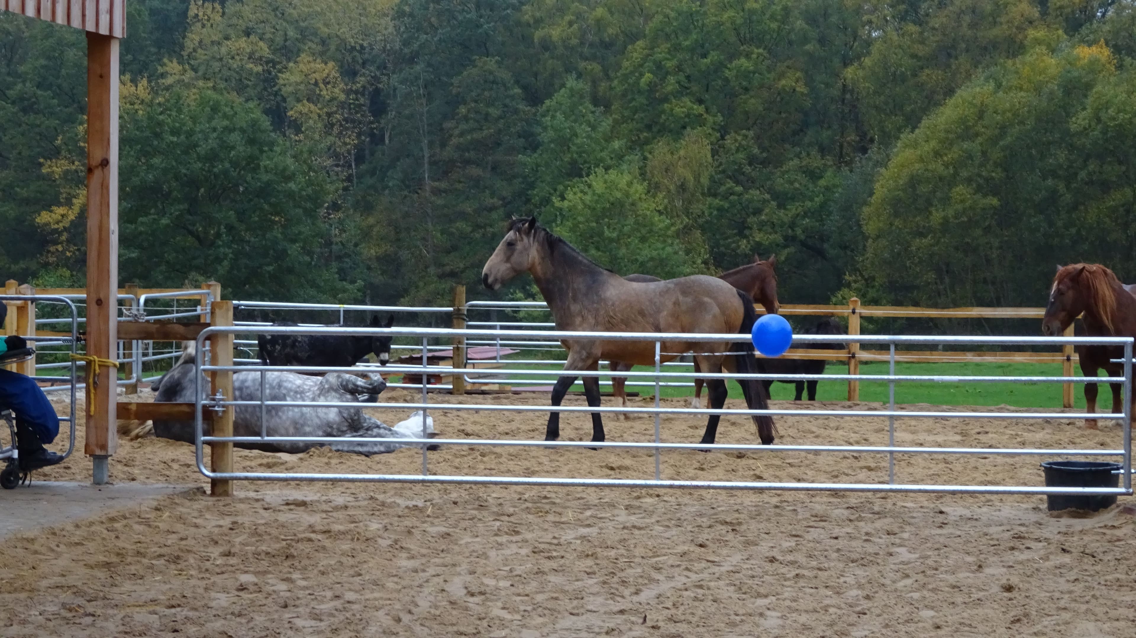 Stall13.JPG