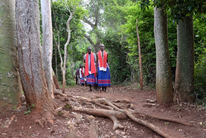 Menschen im Wald.png