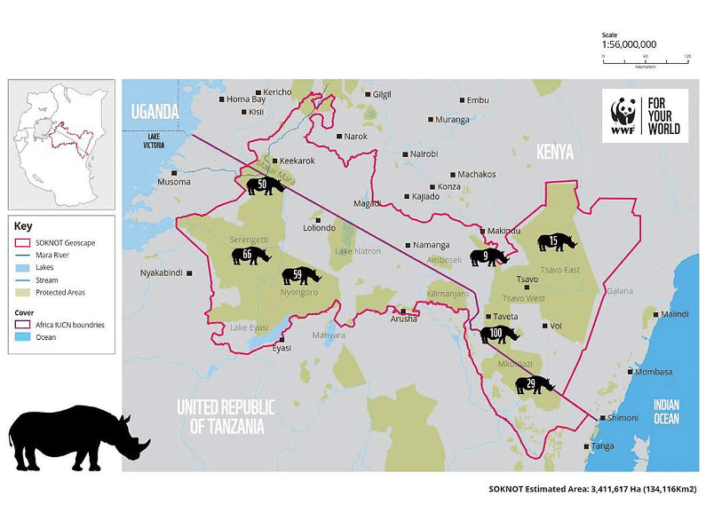 Vorkommen Spitzmaulnashörner in Unganisha.png