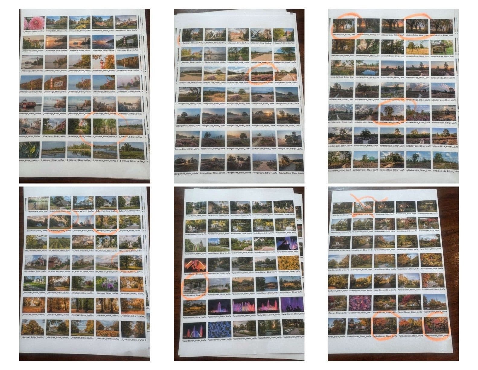 Bilderauswahl für UHZ Flurgestaltung_quer.jpg