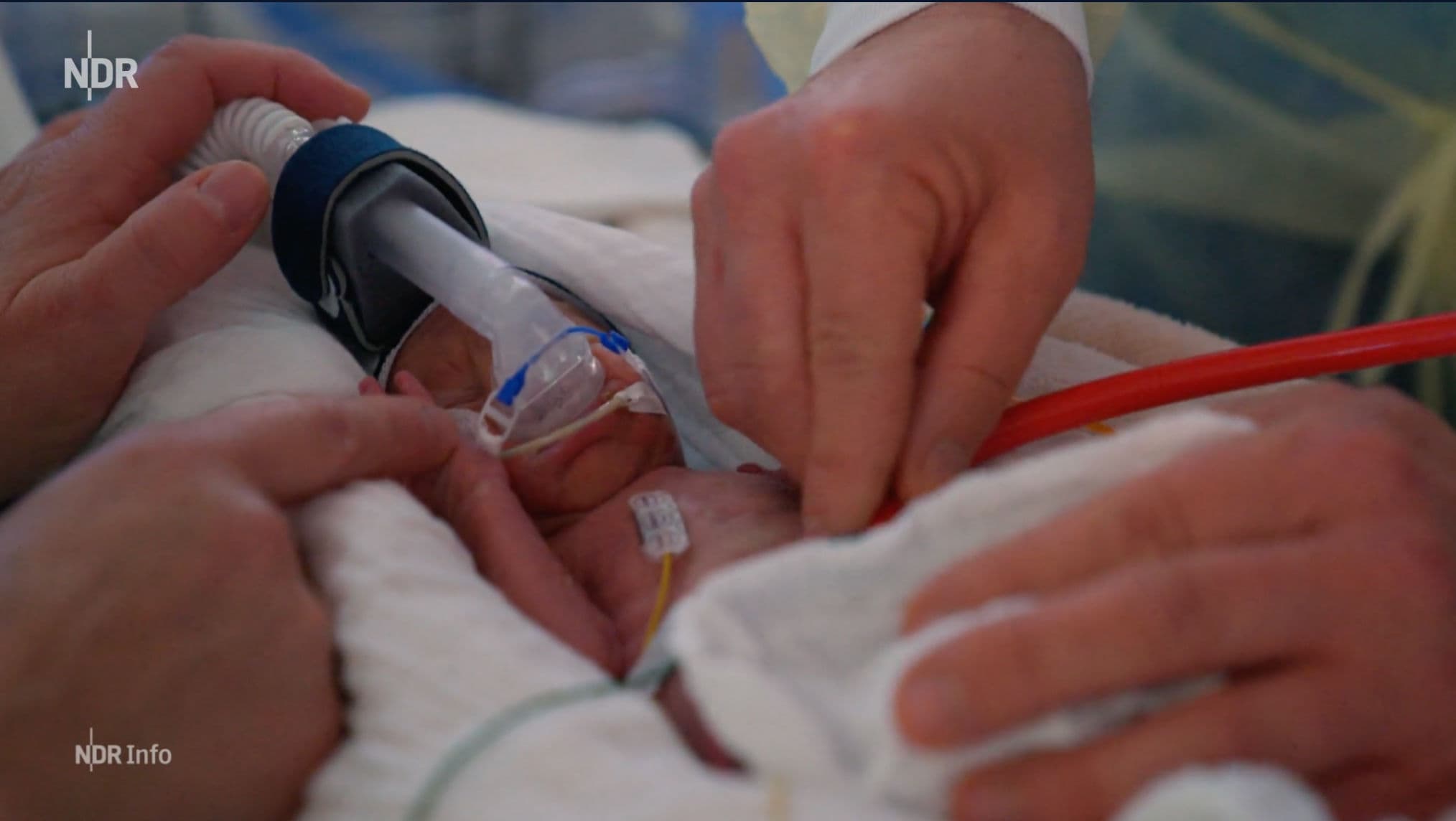 Bildschirmfoto 2025-12-08 um 11.13.37.png